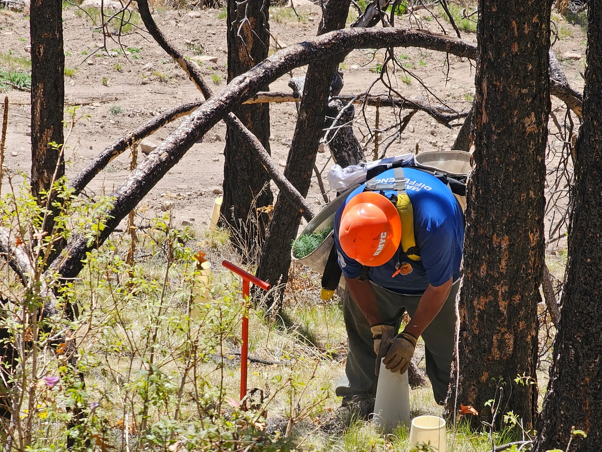 Shaping the Future of Fire