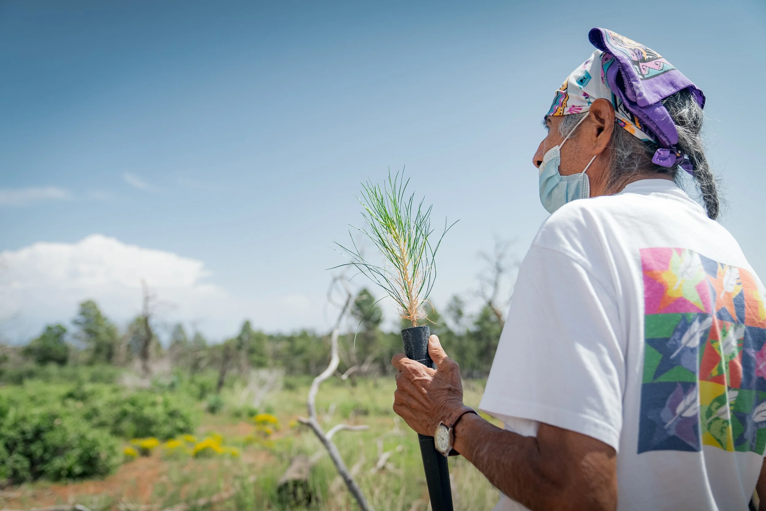 TWP Canopy - Heal the Planet Beyond your Lifetime with Donor Advised Funds