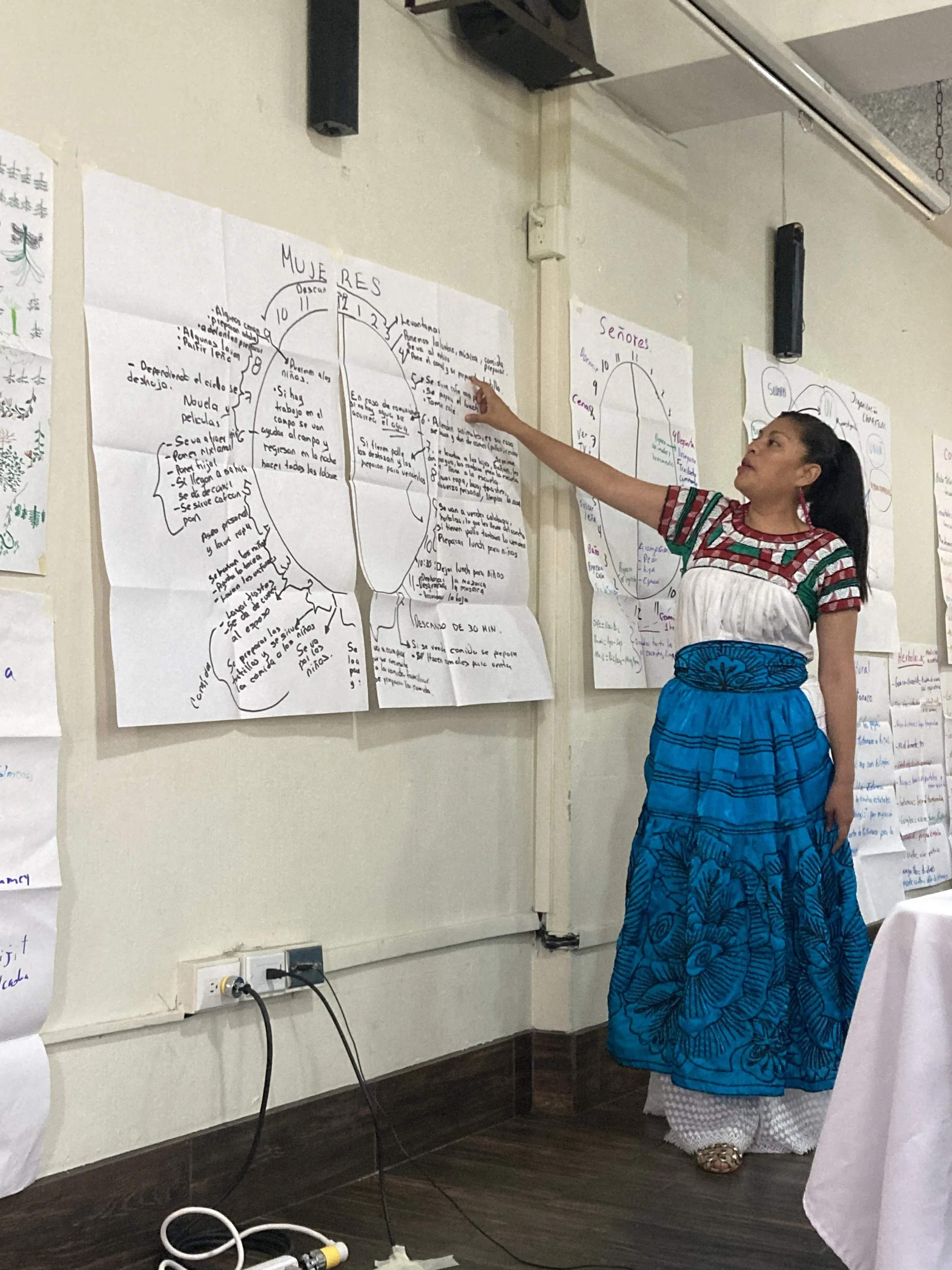 Growing Grassroots Organizations in Mesoamerica — Trees, Water & People
