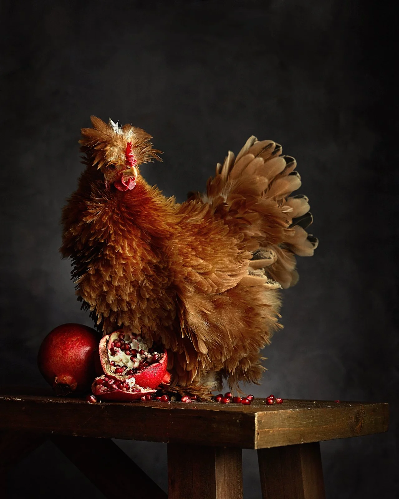 A rooster with brown and tan feathers standing on a wooden table beside a whole pomegranate and a halved pomegranate spilling seeds onto the table against a dark background.