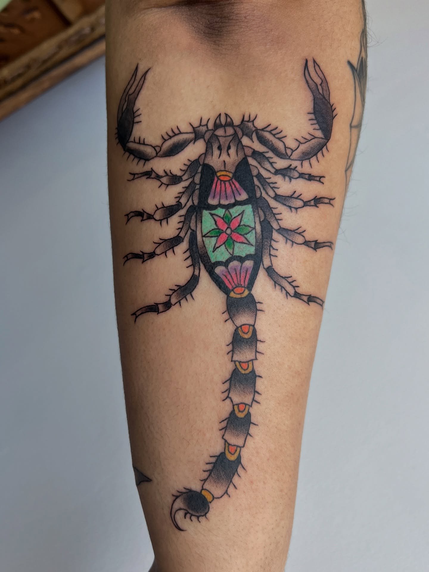 🦂 &iexcl;Alacr&aacute;n de mi libro de dise&ntilde;os para Elissa, much&iacute;simas gracias! 💓

I&rsquo;ve been truly enjoying incorporating folk-style ornaments into animal imagery; these types of tattoos make my heart sing! I&rsquo;m so excited 