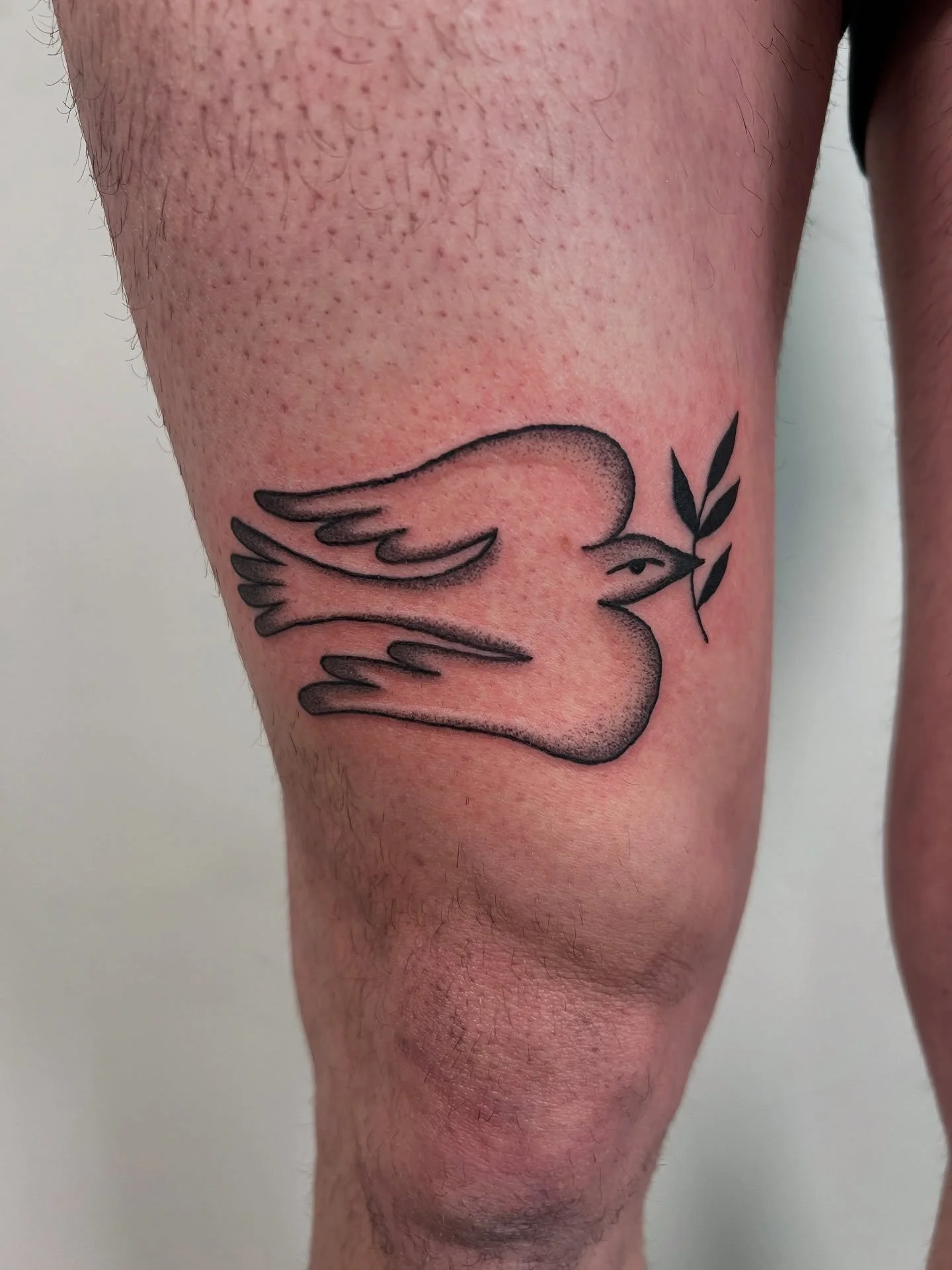 🕊️ Thinking about peace (&amp; love) with this tattoo I had the pleasure of making for Zachary earlier this year! 

Red heart wasn&rsquo;t made by me, but how cute is this pairing? ❤️&zwj;🔥