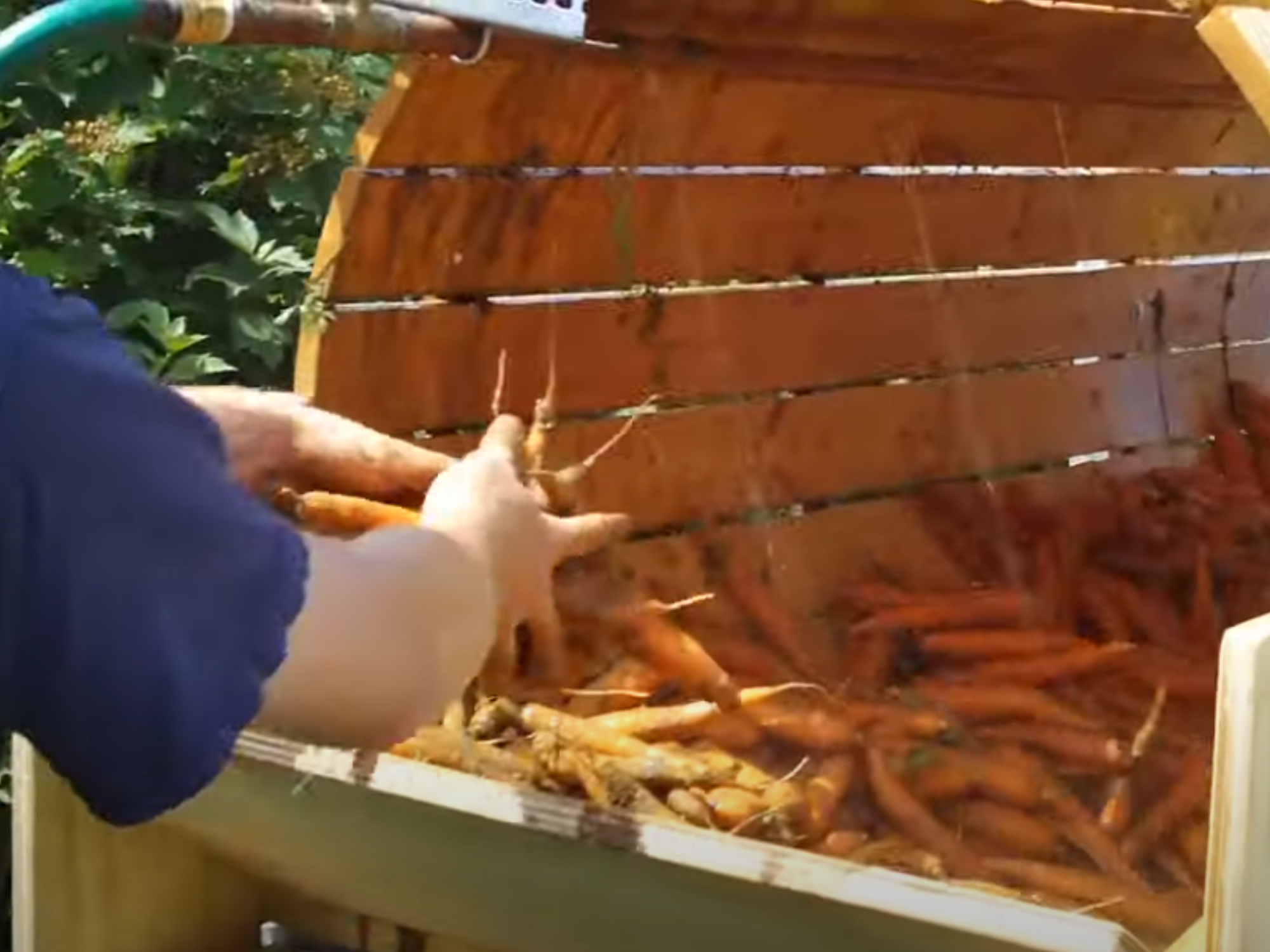 Root Crop Washers — Grindstone Farm