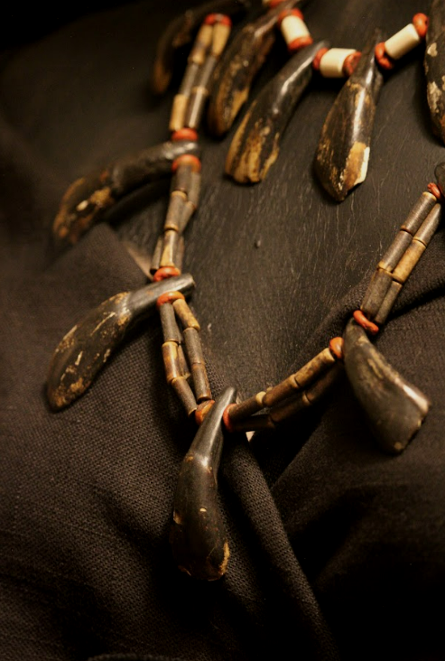 7 Generations Buffalo Regalia