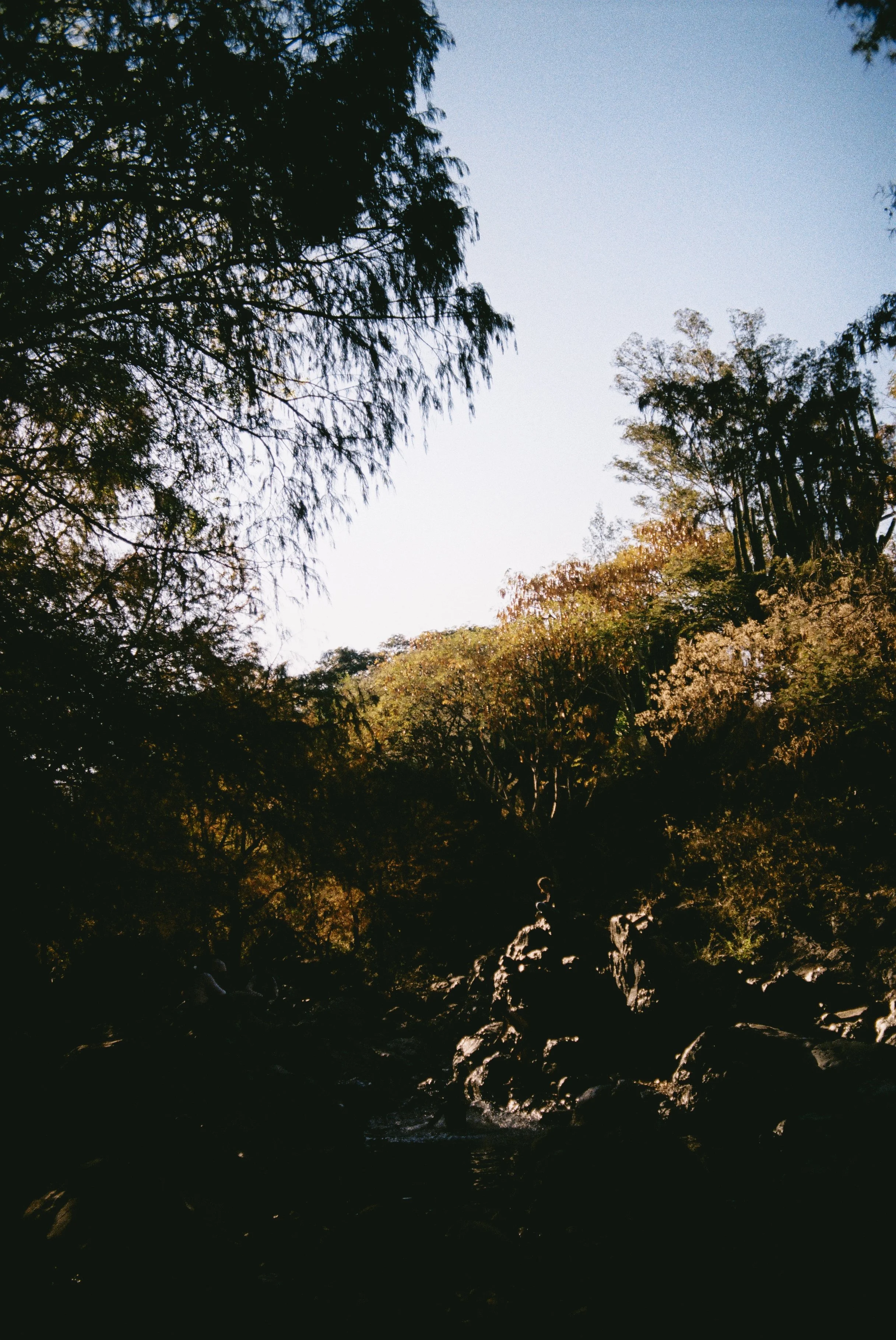 A002140-R1-17-19A.jpg