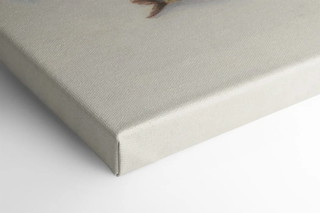 Sardine 4 - Canvas Mock Up.jpg