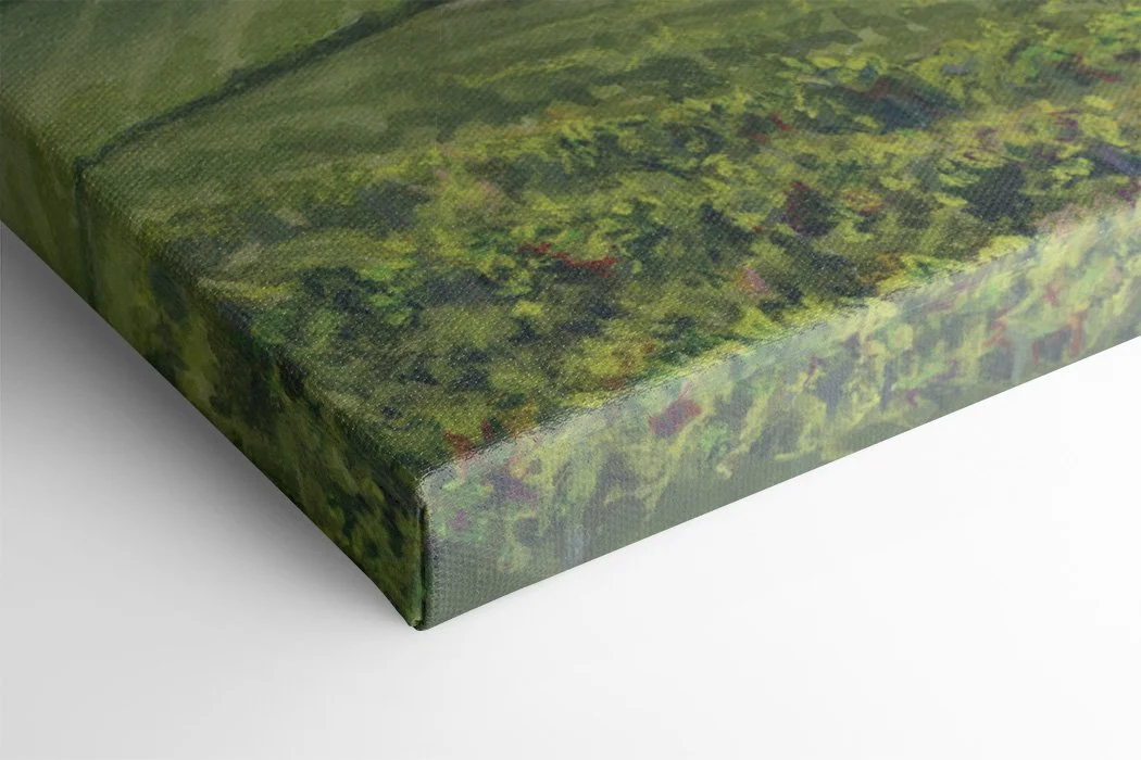 The Overlook - Canvas Mock Up.jpg
