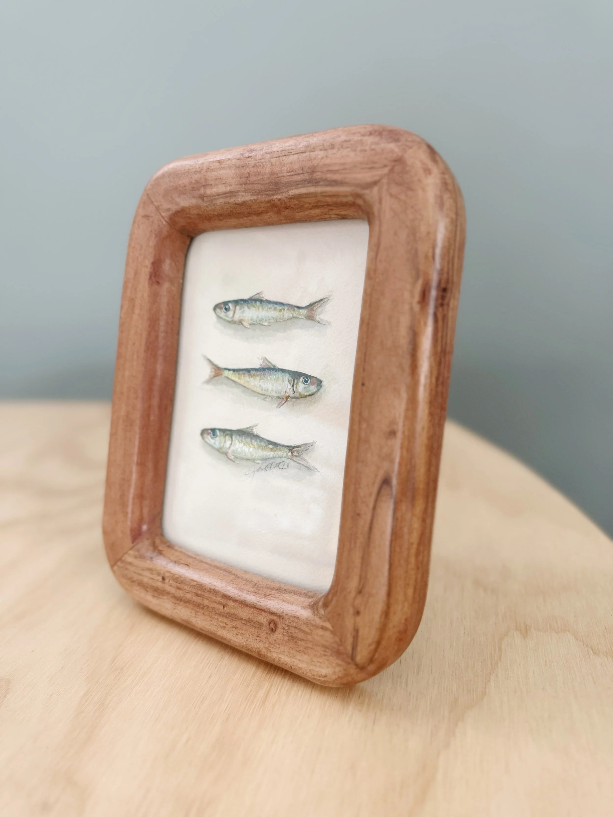 Sardine 1 by Kristin MacKenzie 2.jpg