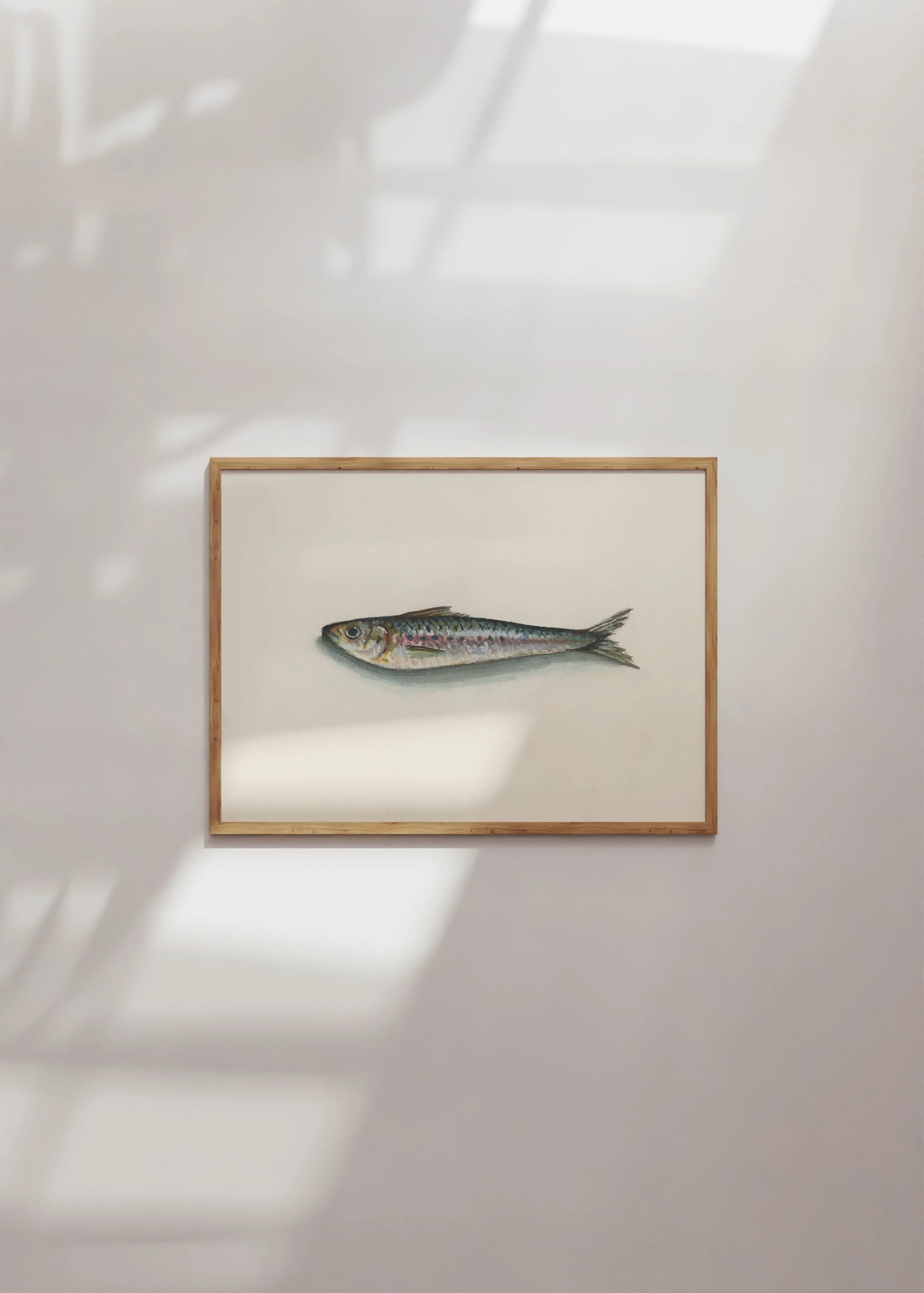 Sardine 2 - Framed Mock Up.jpg