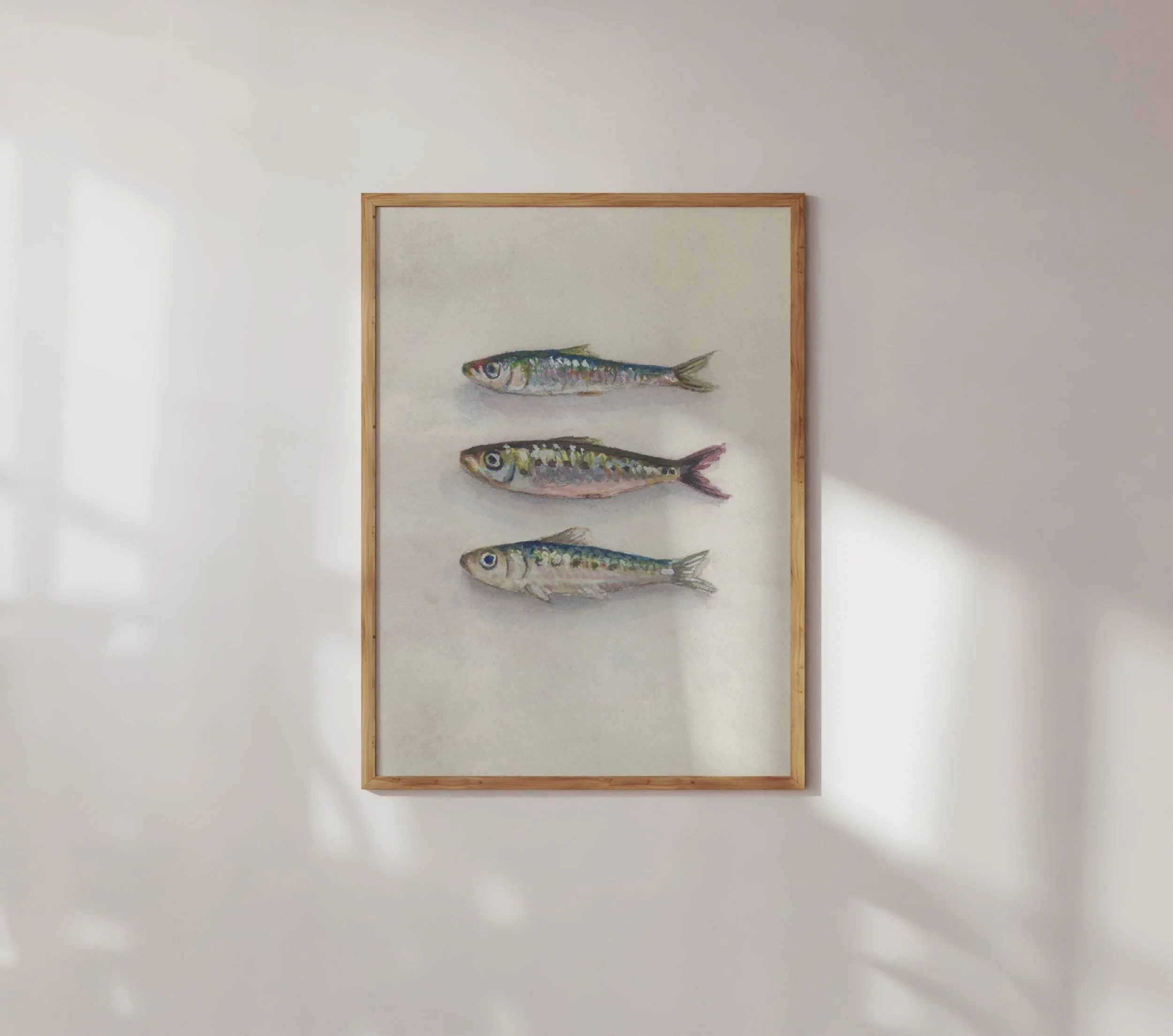 Sardine 3 - Framed Mock Up.jpg
