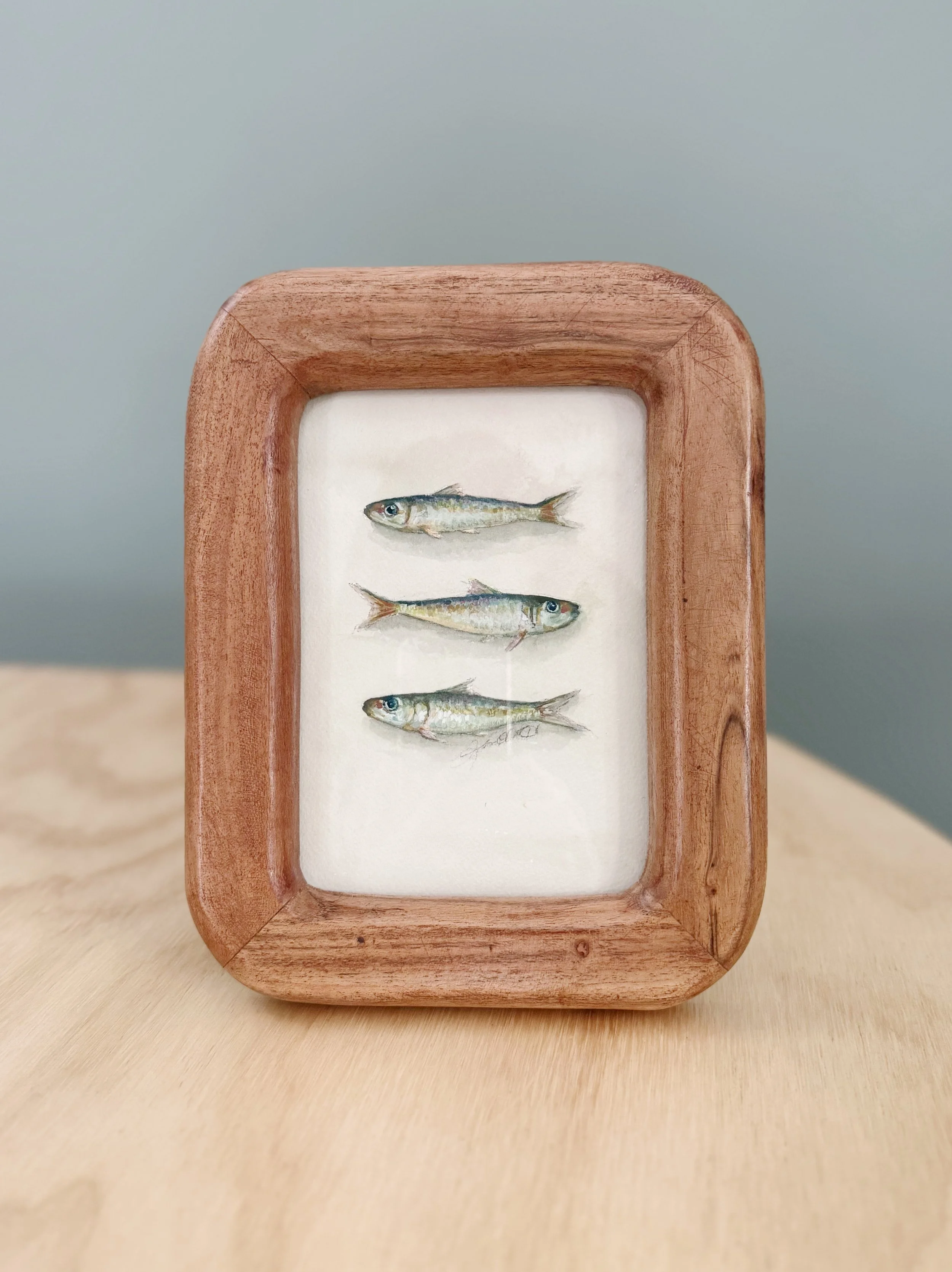 "Sardines III" | Framed Original Painting
