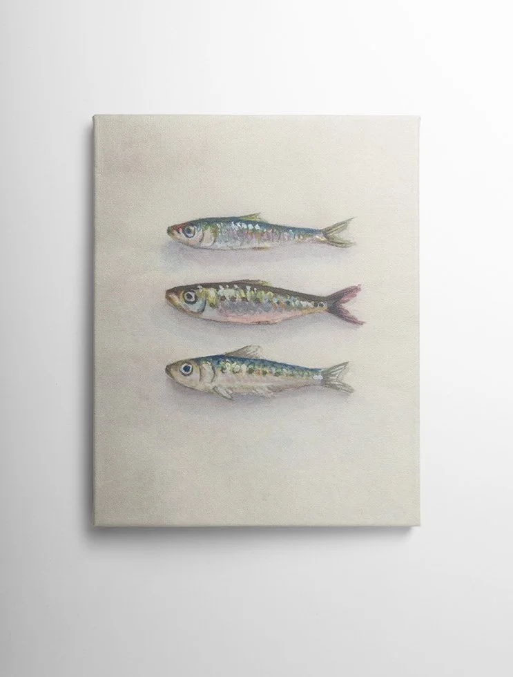 Sardine 3 - Canvas Mock Up 3.jpg