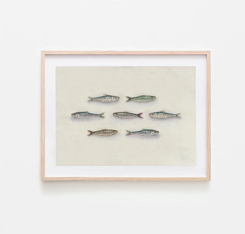 Sardine 4 - Frame Mockup Small.jpg