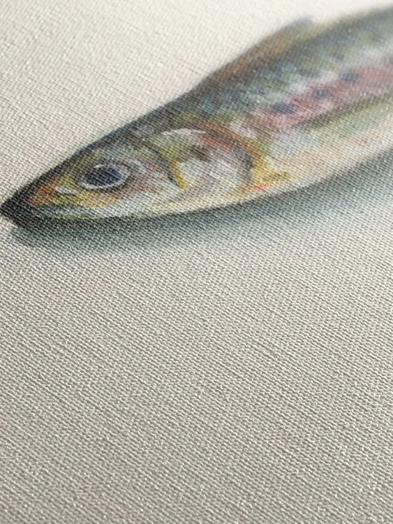 Sardine 2 - Canvas Mock Up 2.jpg