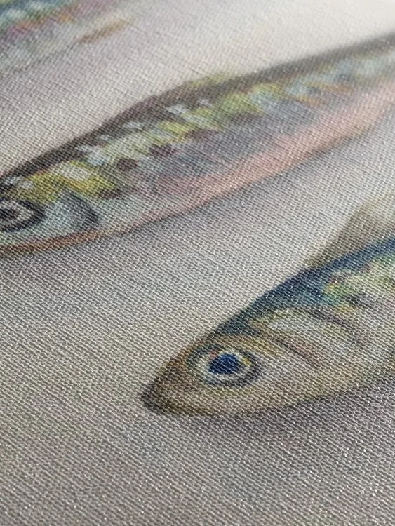 Sardine 3 - Canvas Mock Up 2.jpg