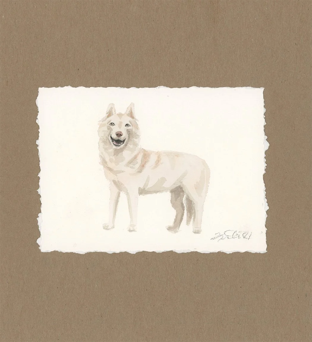 Dog - Husky small.jpg