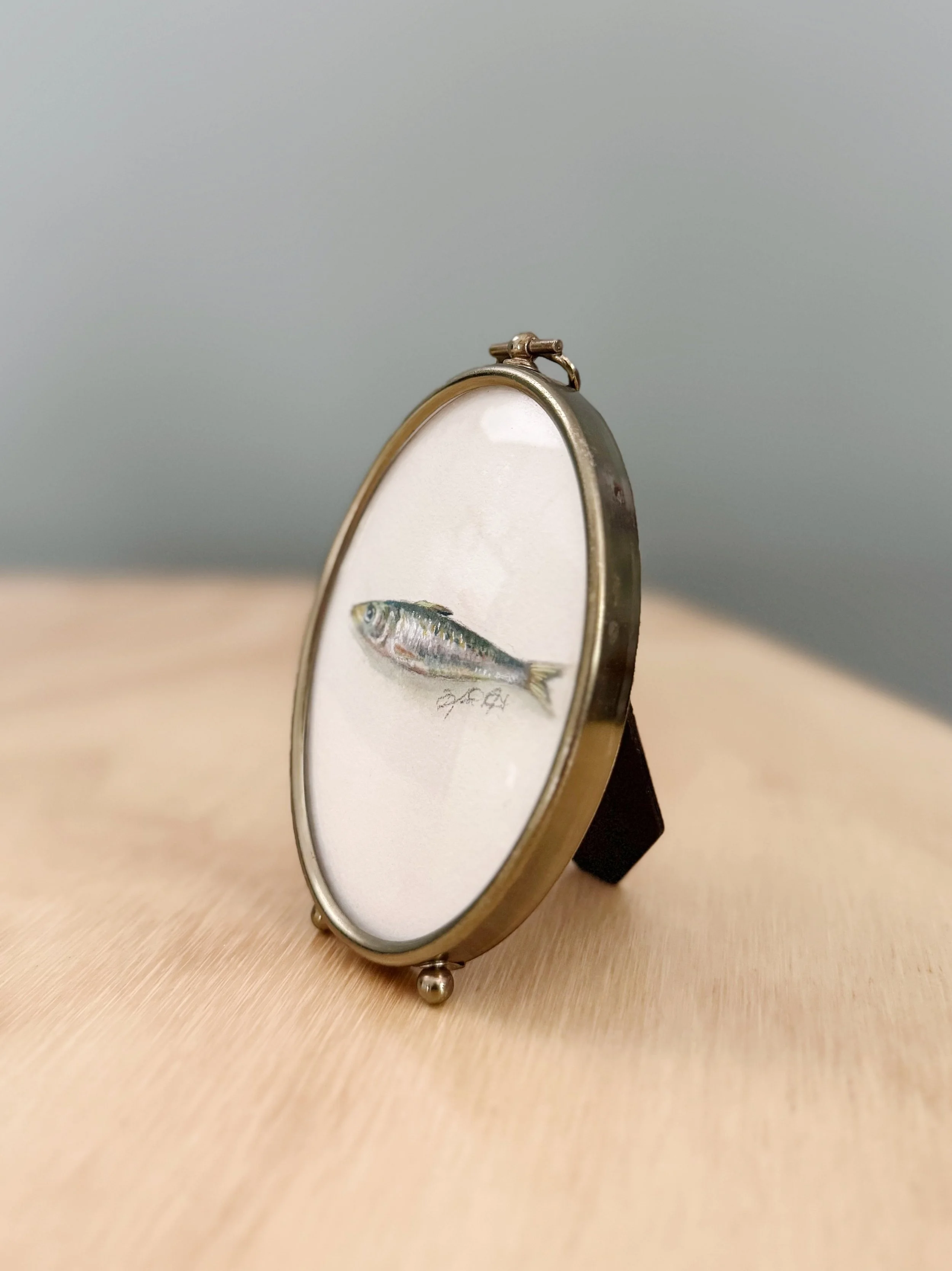 Sardine 2 by Kristin MacKenzie 2.jpg