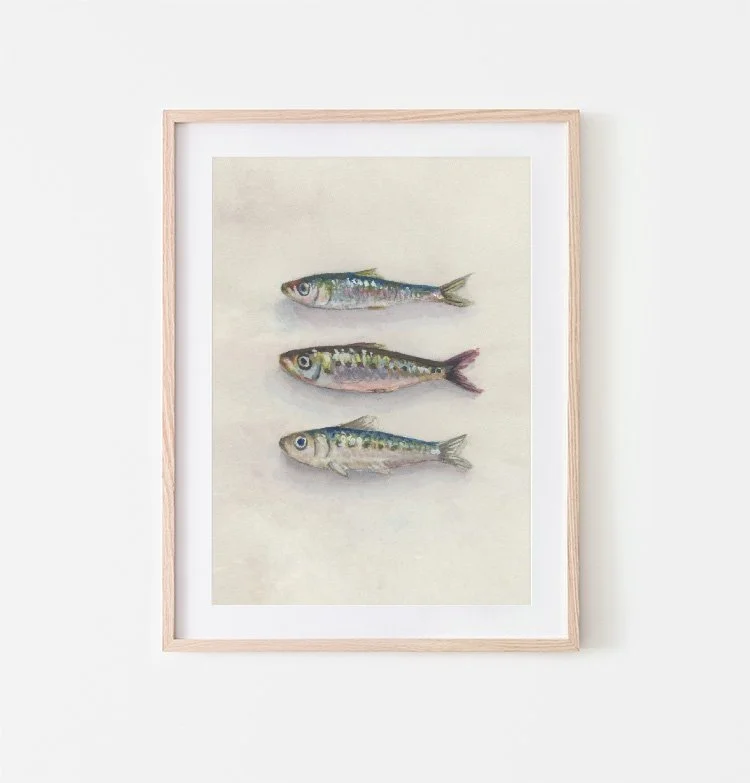 Sardine III | Giclée Fine Art Print