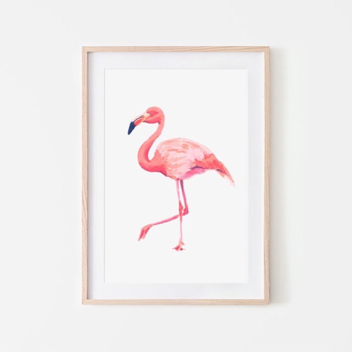 SAMPLE SALE | Flamingo | Animals of the Alphabet | Giclée Fine Art Print