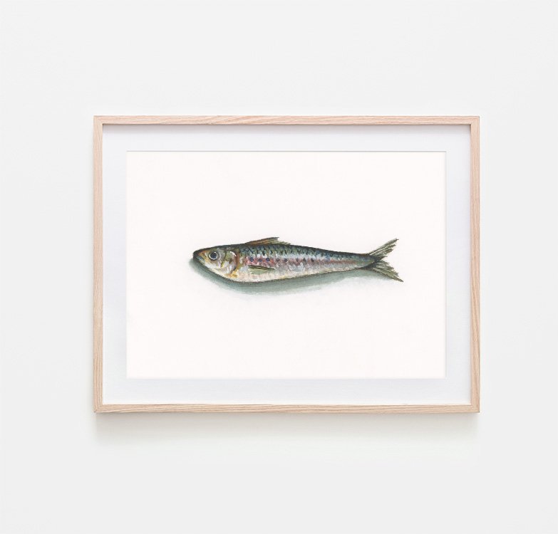 Sardine 2 - Frame Mockup Small.jpg
