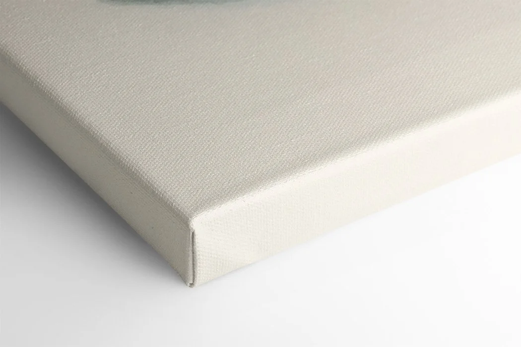 Sardine 2 - Canvas Mock Up.jpg