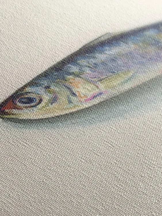 Sardine 1 - Canvas Mock Up 2.jpg