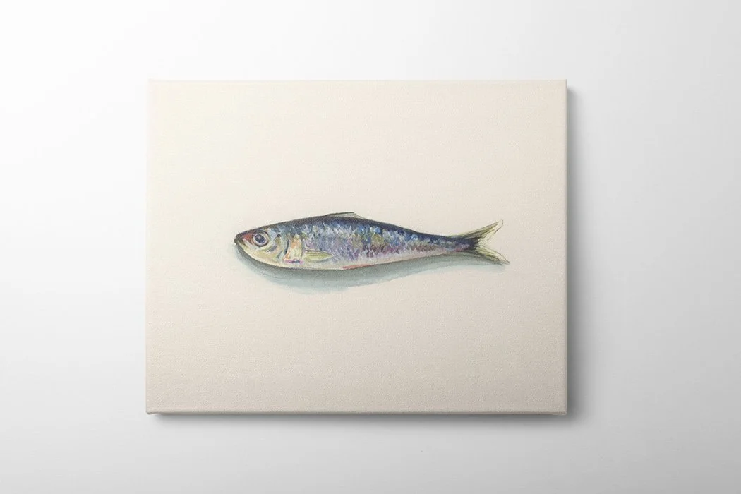 Sardine 1 - Canvas Mock Up 3.jpg
