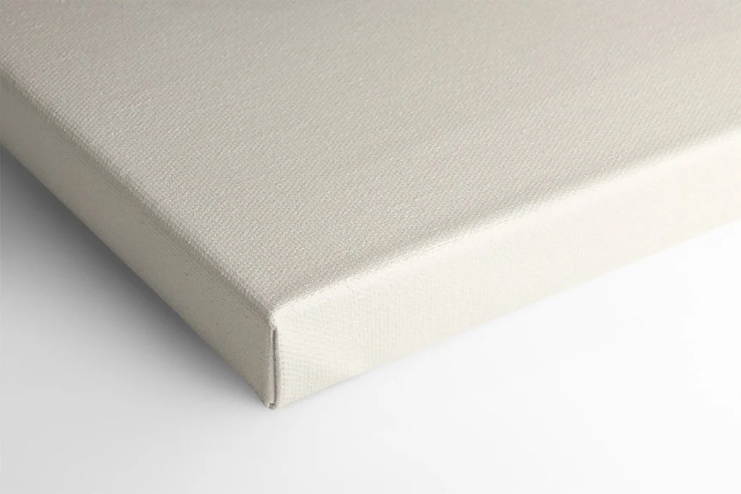 Sardine 1 - Canvas Mock Up.jpg