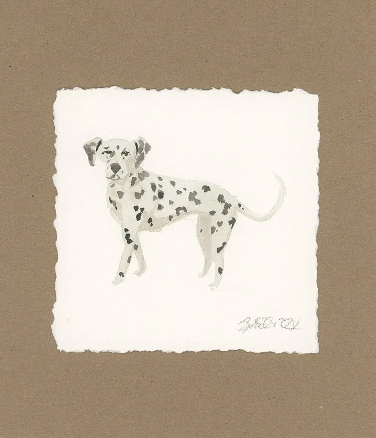 Dog - Dalmatian small.jpg