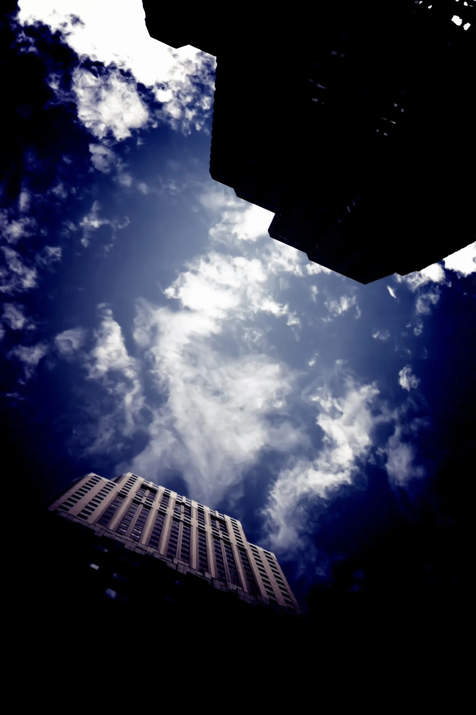 Nature Bldg DAP_6515a.jpg