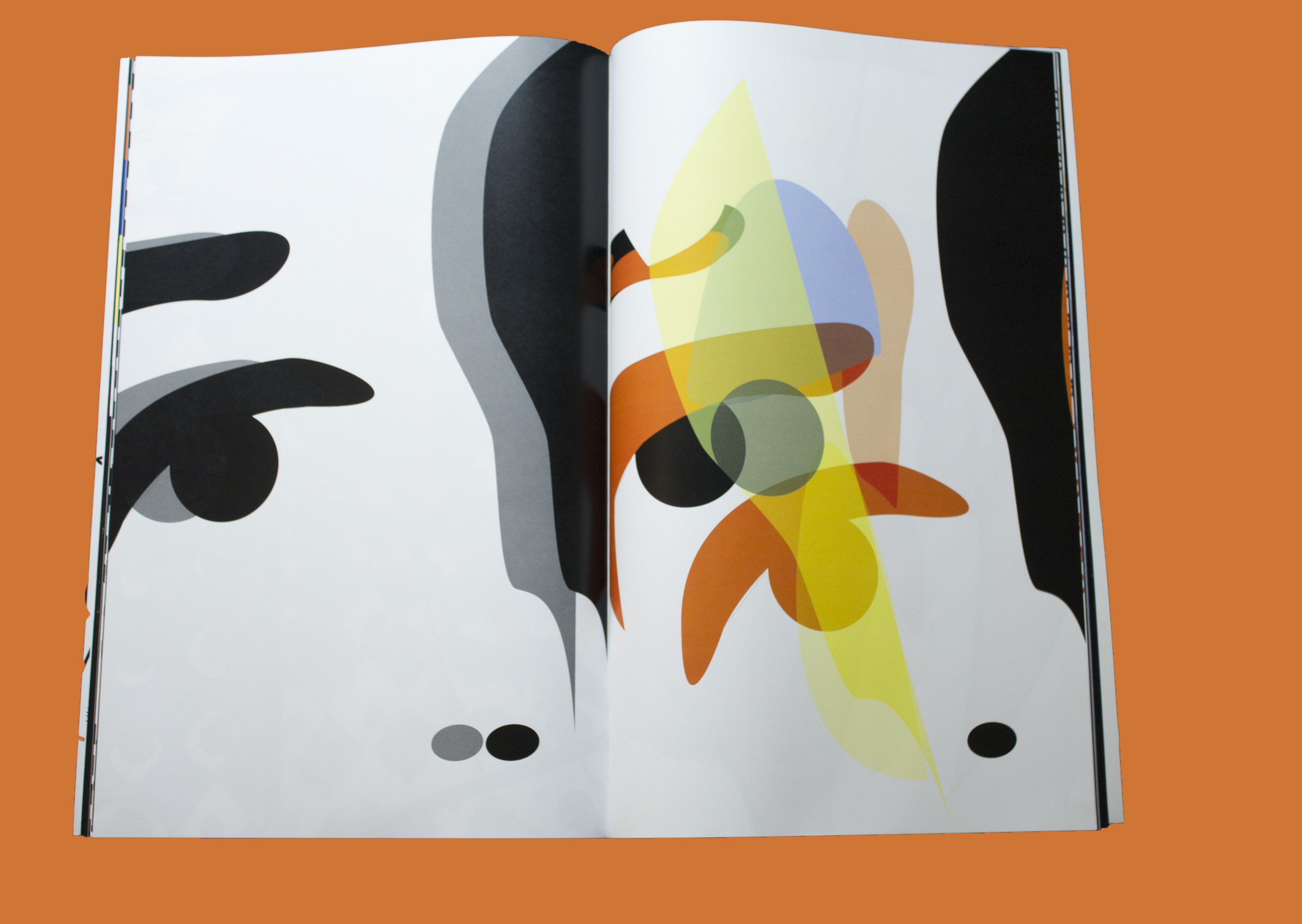 50 iterations_15 copy.png