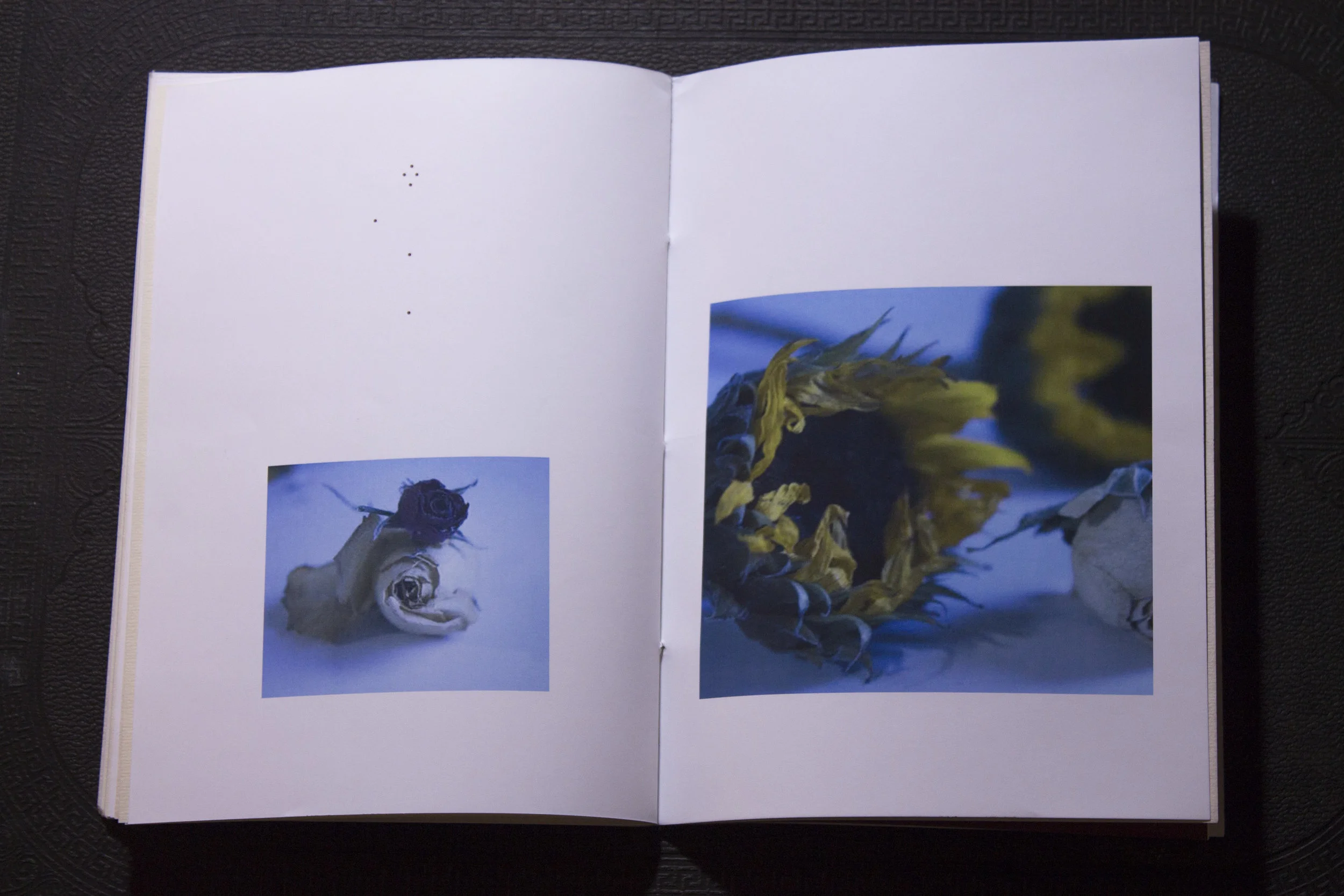 Last slice of cake _21.JPG