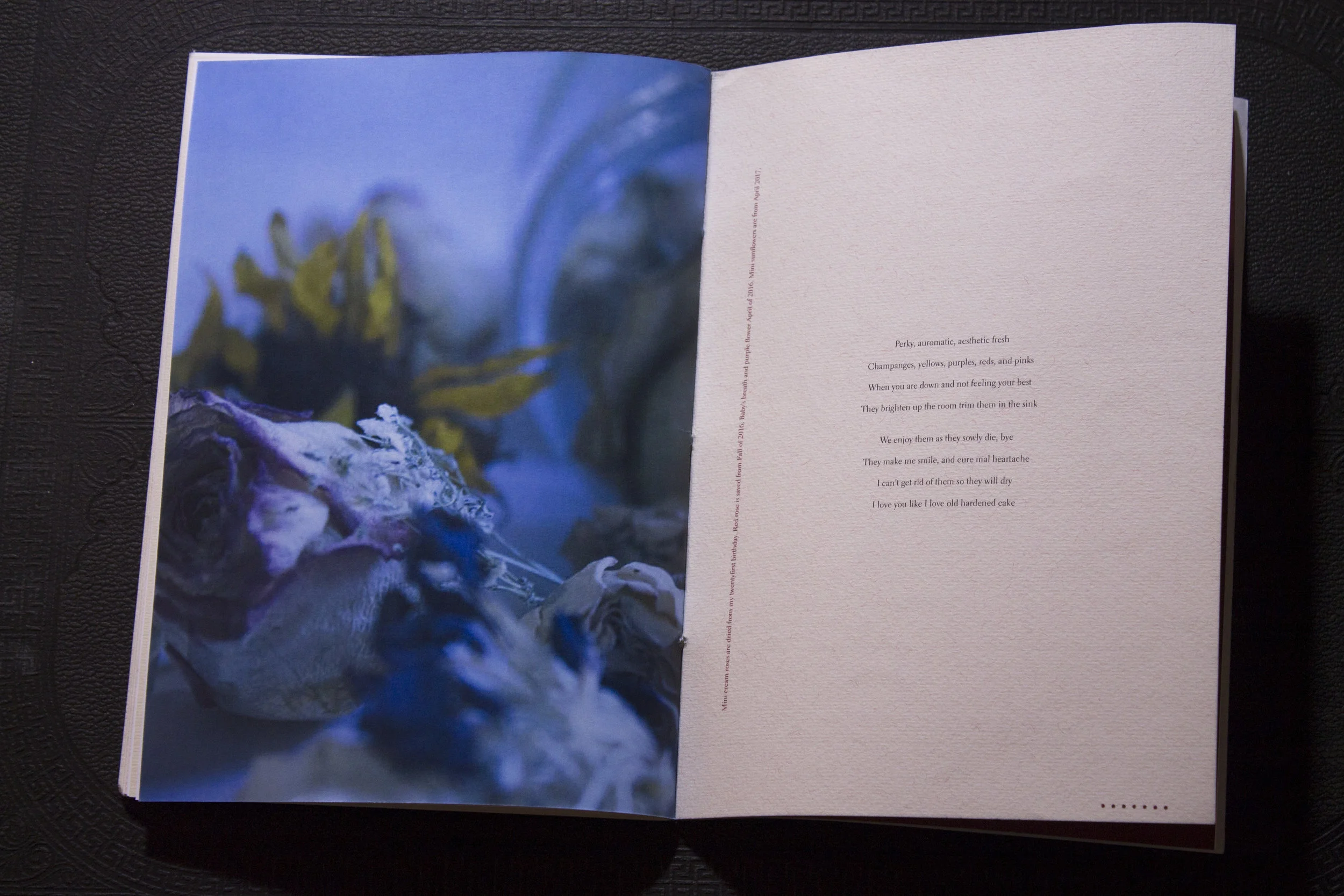 Last slice of cake _22.JPG