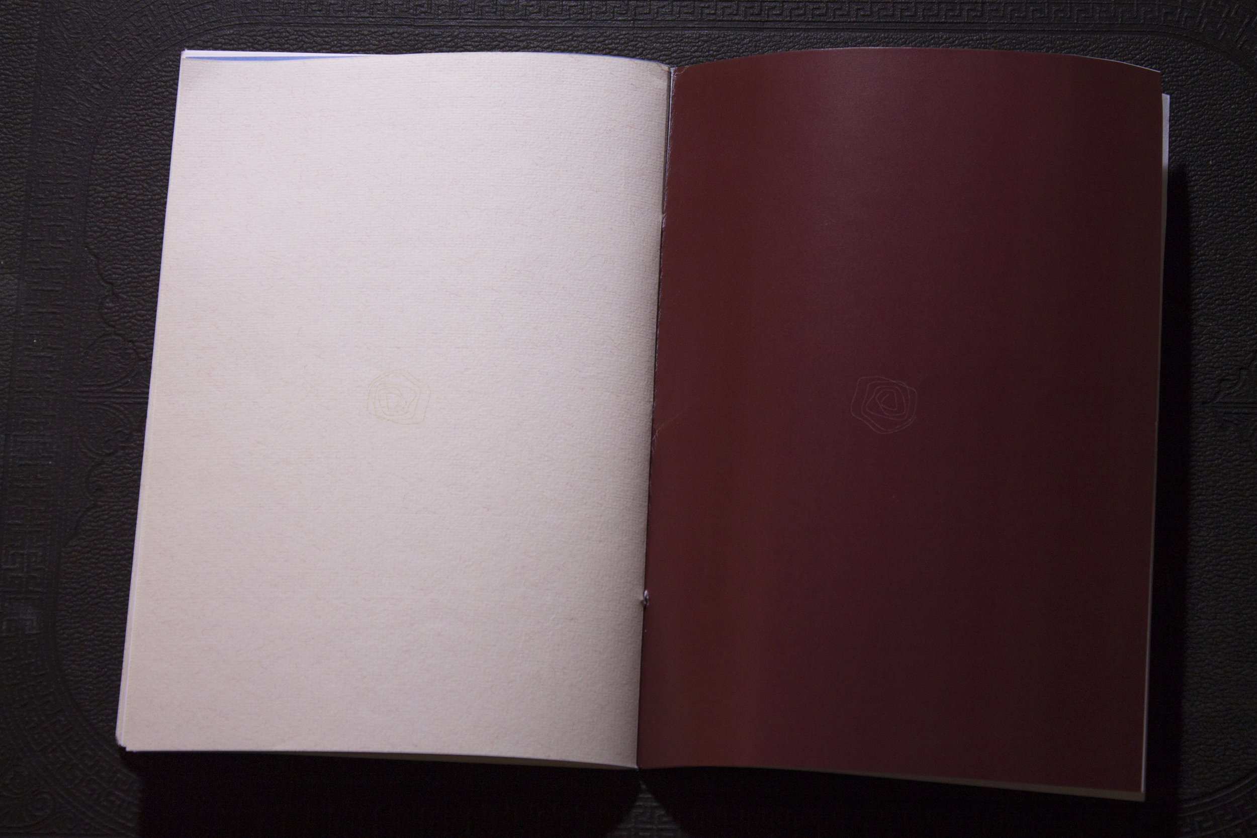 Last slice of cake _23.JPG