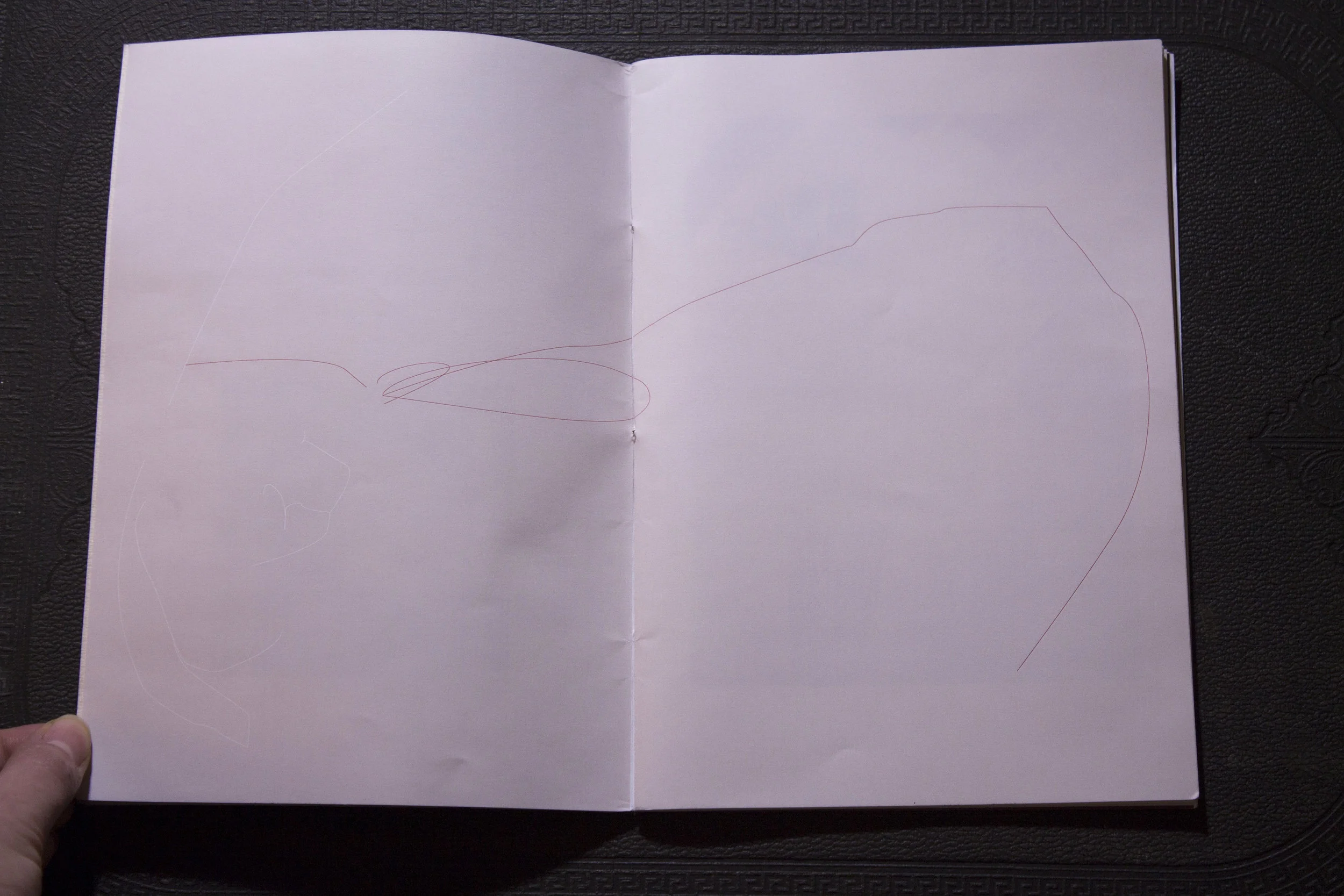 Last slice of cake _5.JPG