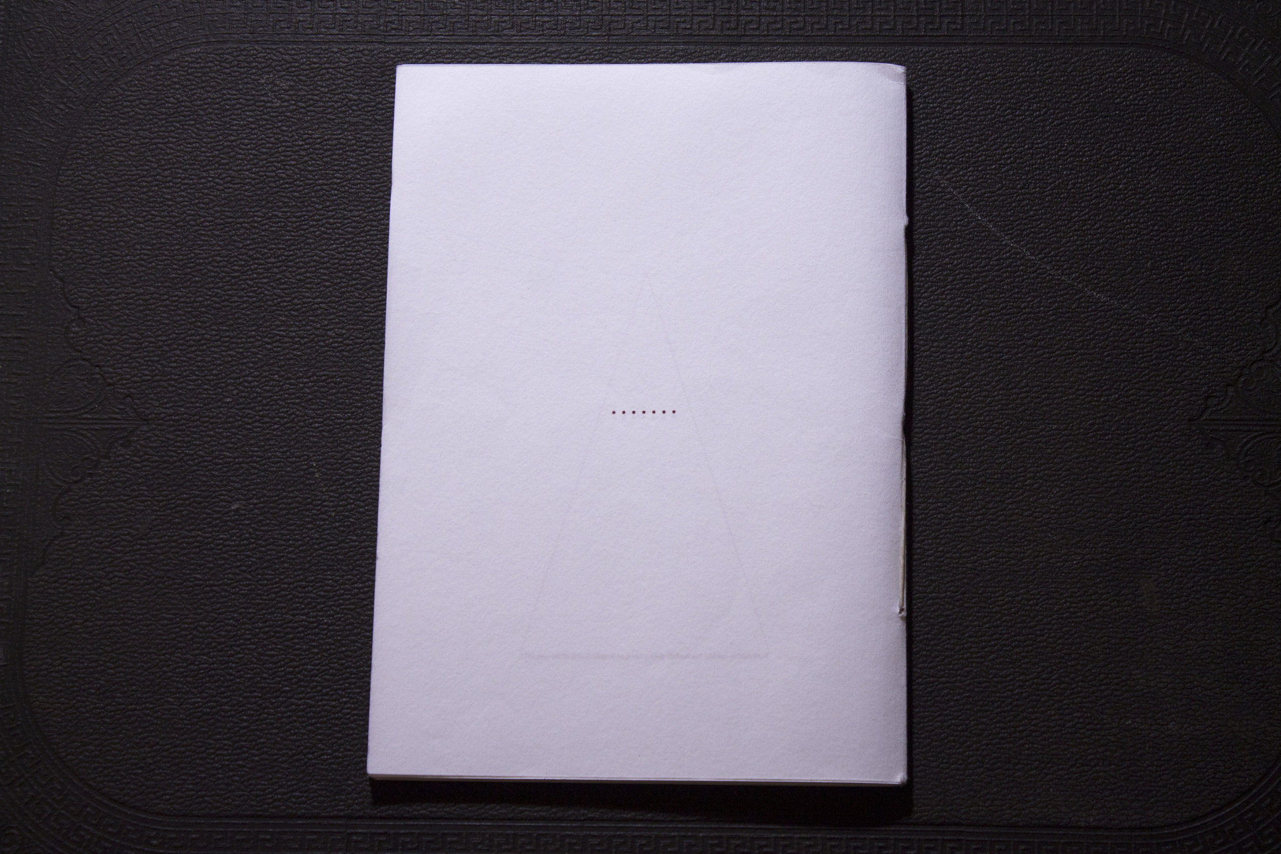 Last slice of cake _1.JPG