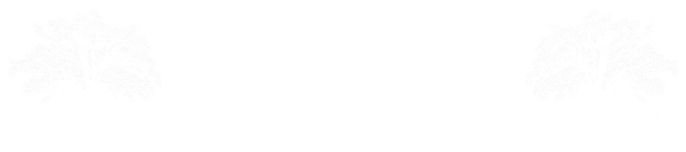 Hayah Consulting LLC