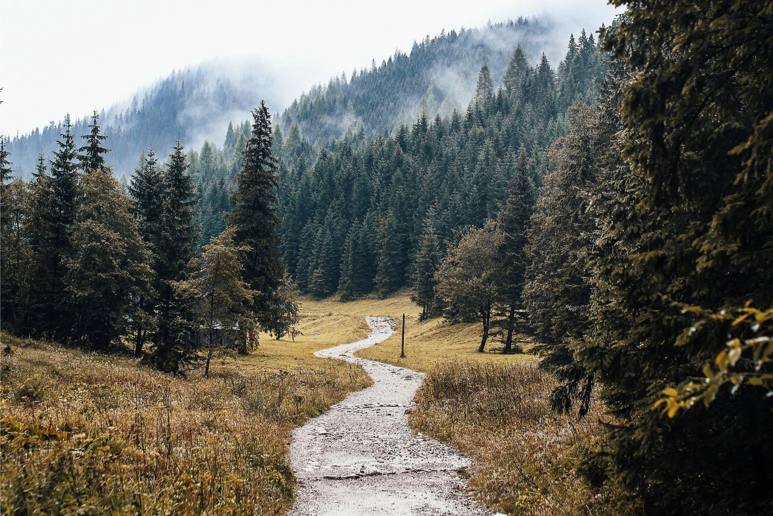 What Is A LifePlan?