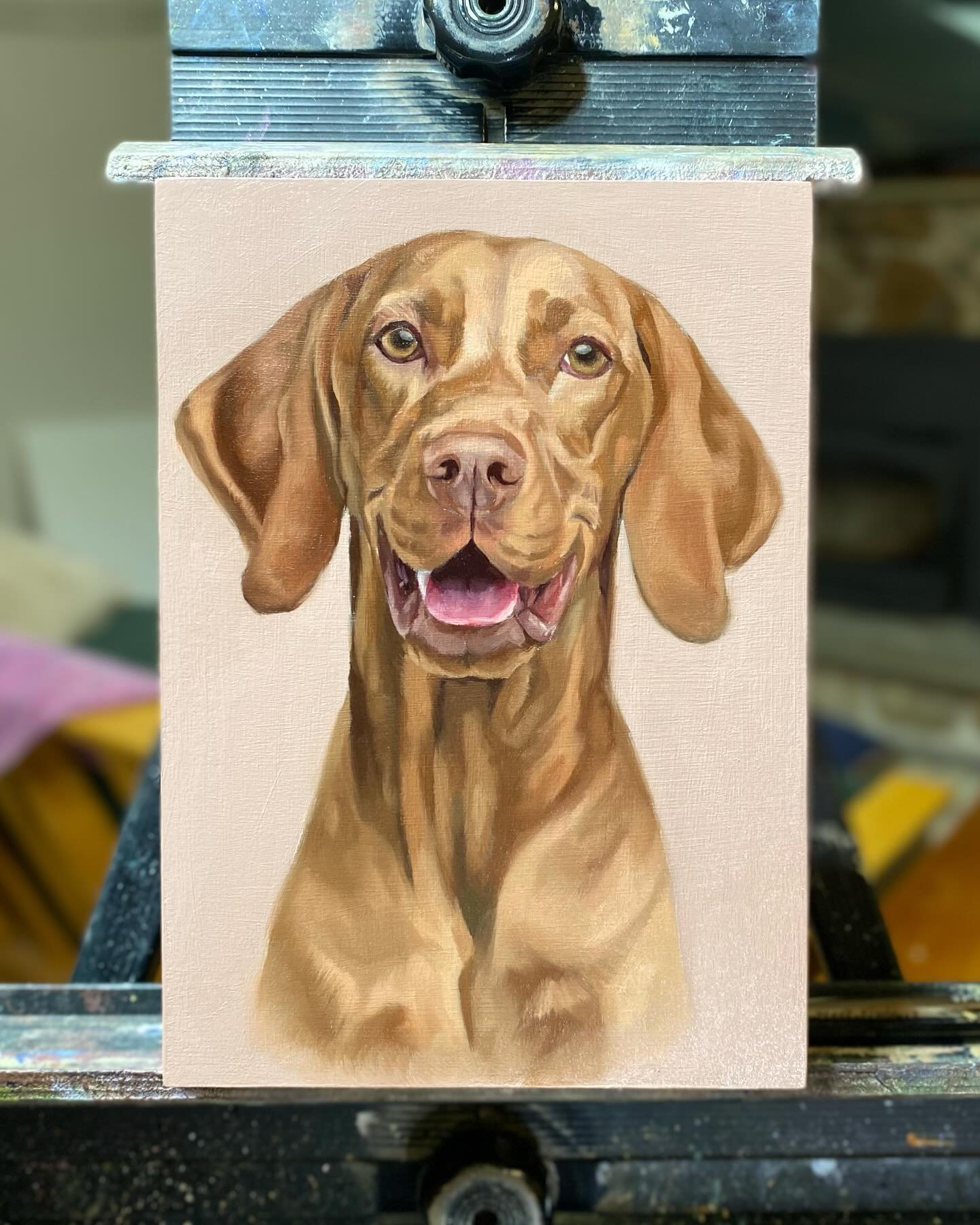 A happy Vizsla in the works. I&rsquo;ll be adding the final details later this week or early next week :) 
Oil paint on wooden panel, 7&rdquo;x5&rdquo;
-
-
-
#vizslas #vizslalovers #oilonpanel #dogartist #dogpainting #dogportraitartist