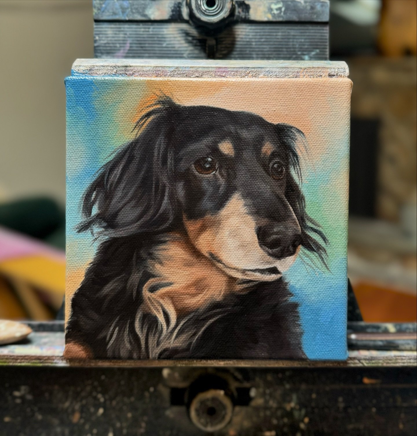 I worked on my painting of Dan the Dachshund today! He is a bit over halfway completed&mdash; I&rsquo;ll be adding the final details and figuring out the background more next week. His portrait was commissioned as a surprise gift from a daughter to h