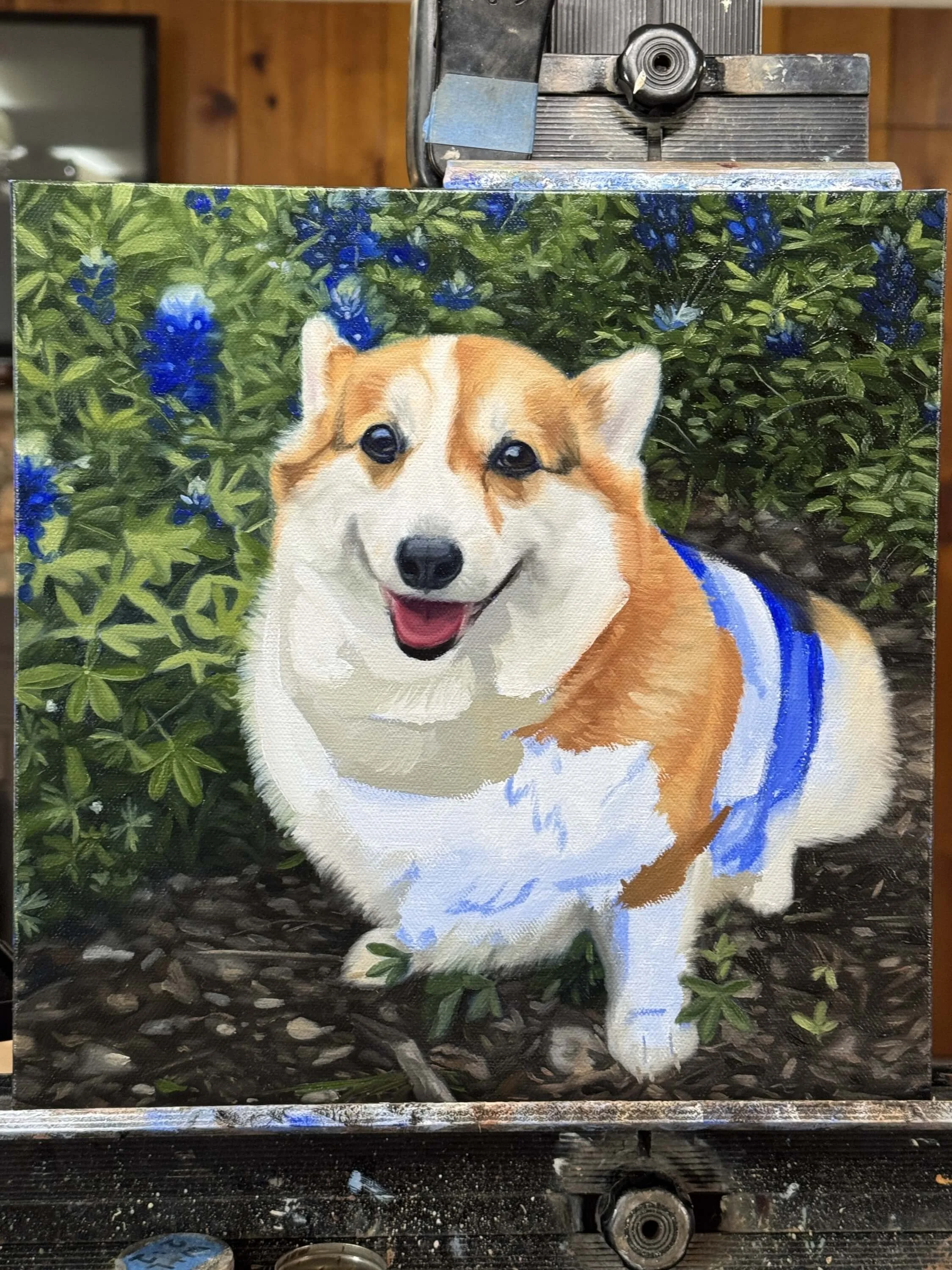 Process photo 3 of a Pembroke Welsh Corgi oil painting portrait