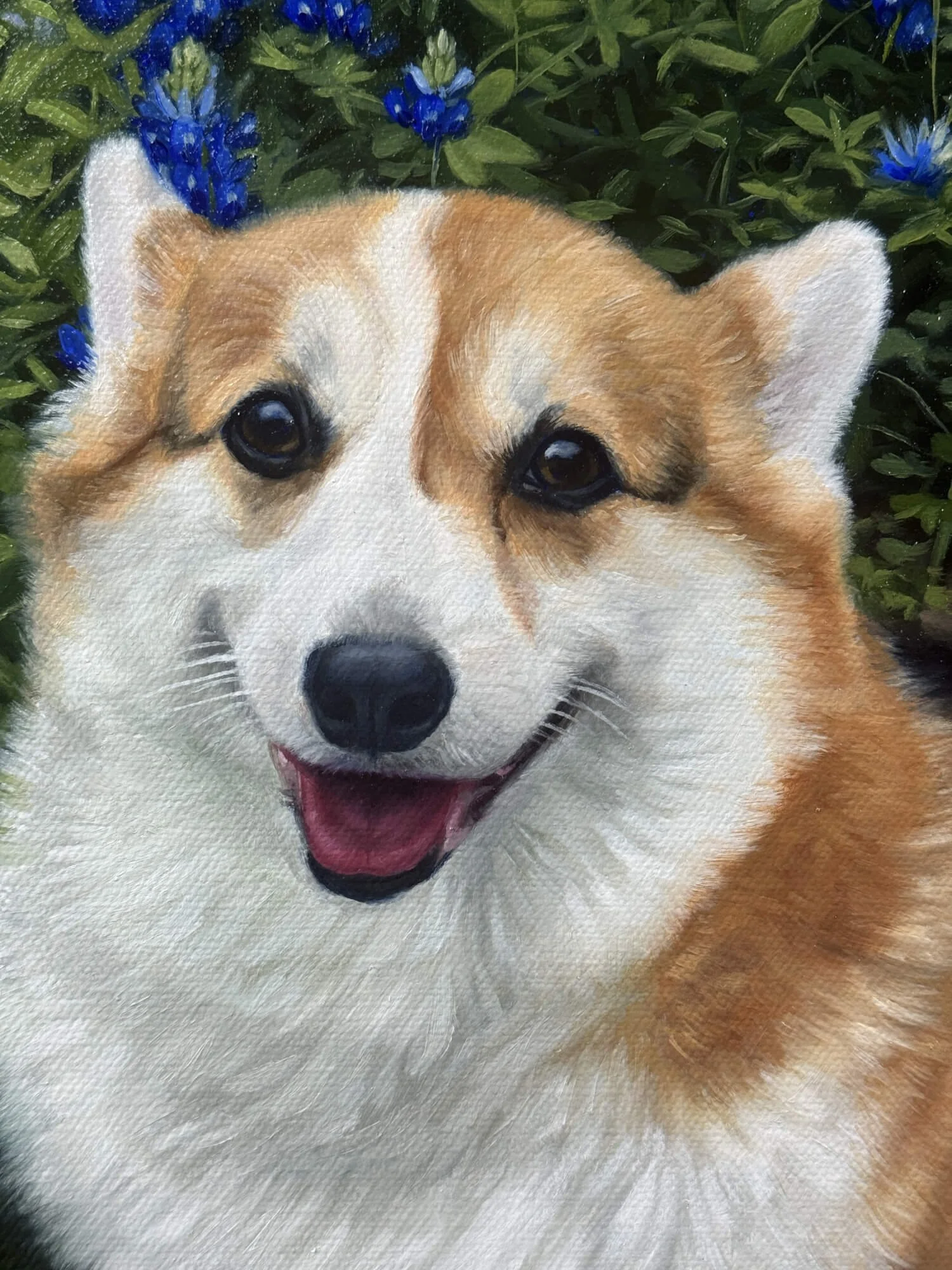Closeup of Pembroke Welsh Corgi dog oil painting portrait on canvas