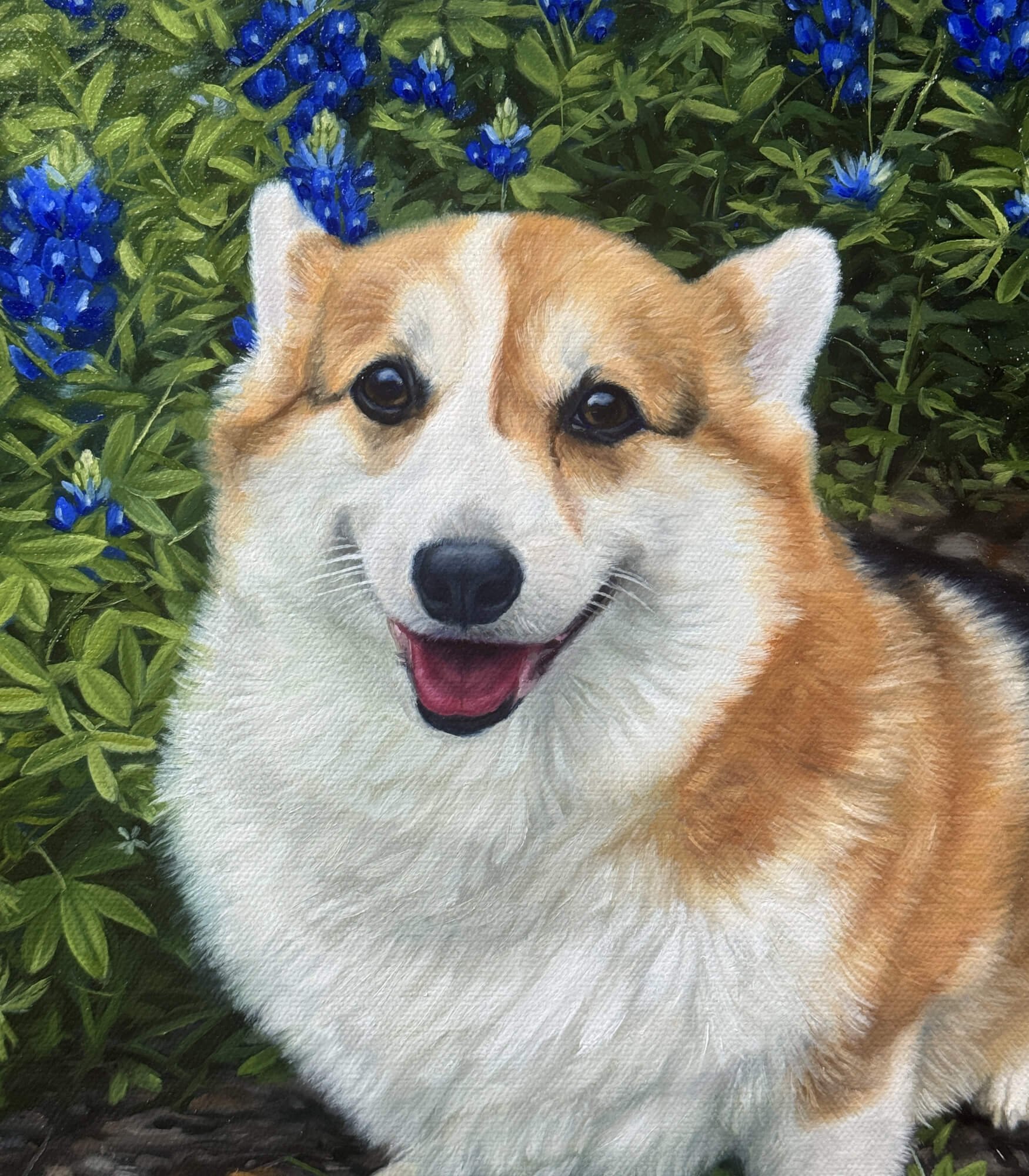 Closeup of Pembroke Welsh Corgi dog oil painting portrait on canvas