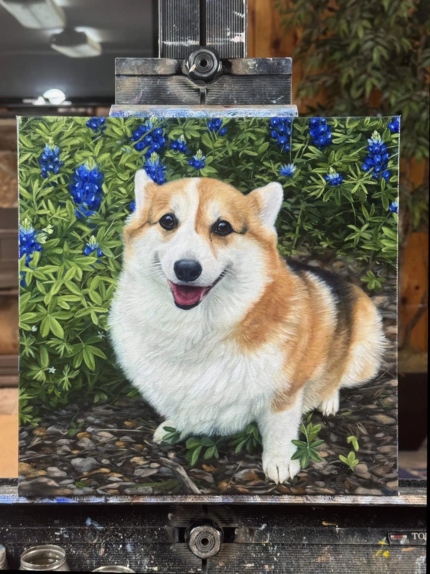 Pembroke Welsh Corgi oil painting portrait on canvas
