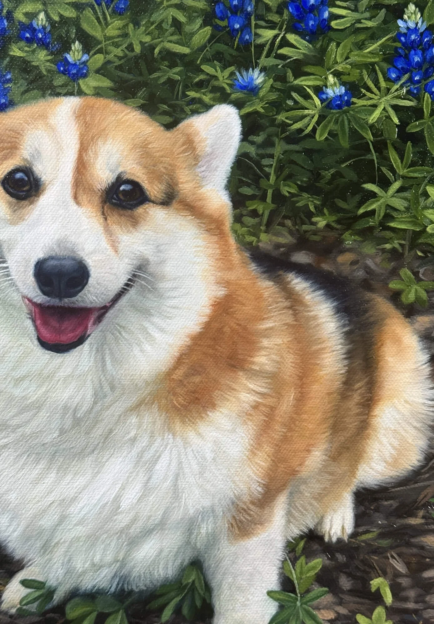 Closeup of Pembroke Welsh Corgi dog oil painting portrait on canvas