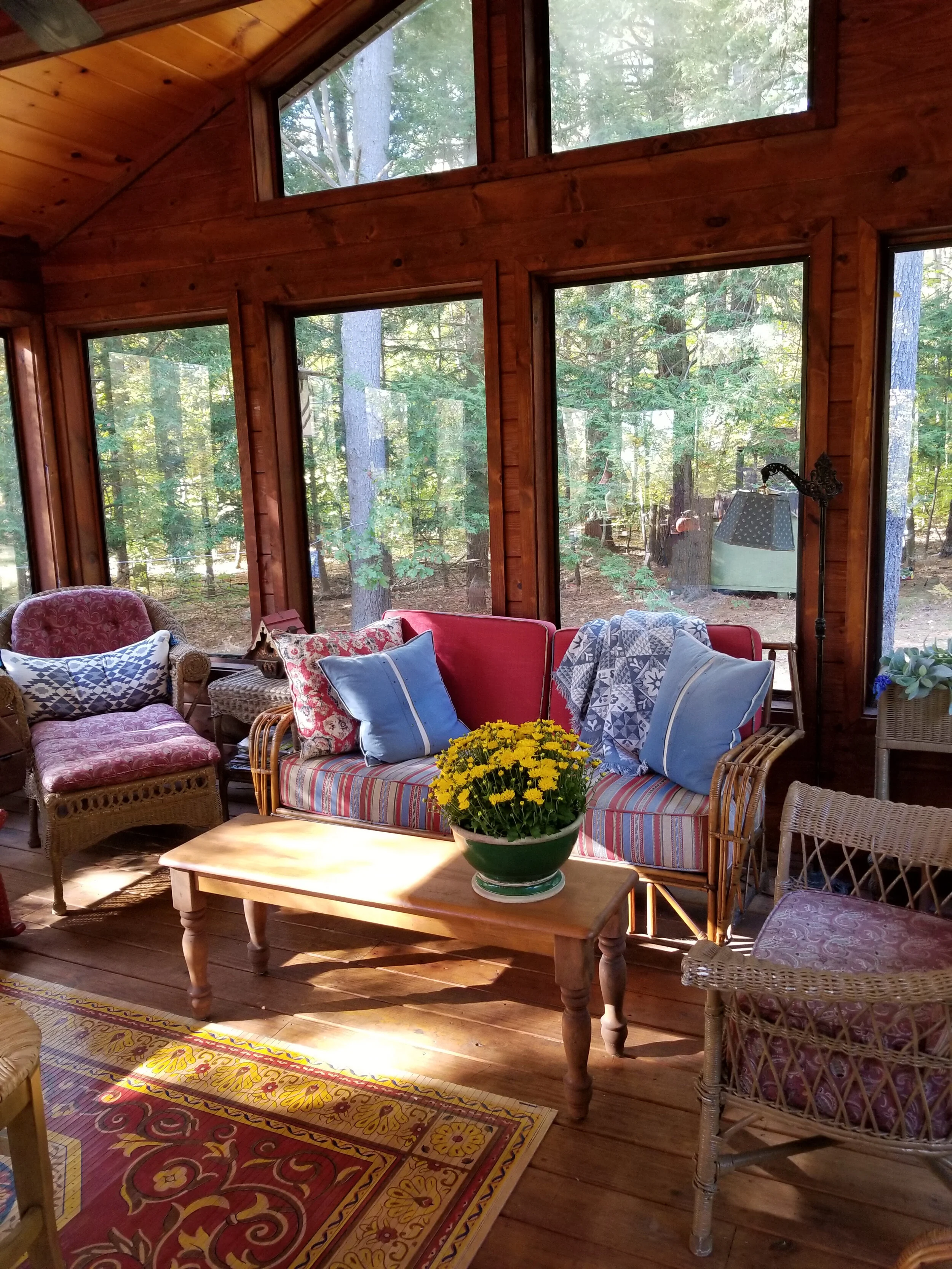 Adirondacks — Katie Dillon INTERIORS