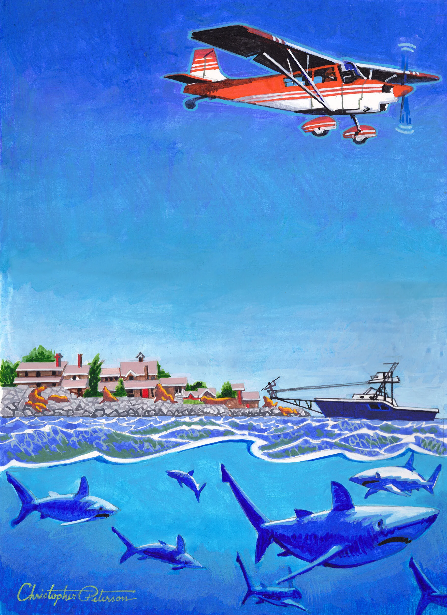 AOPA_Shark_Hunt_Christopher_Peterson.jpg