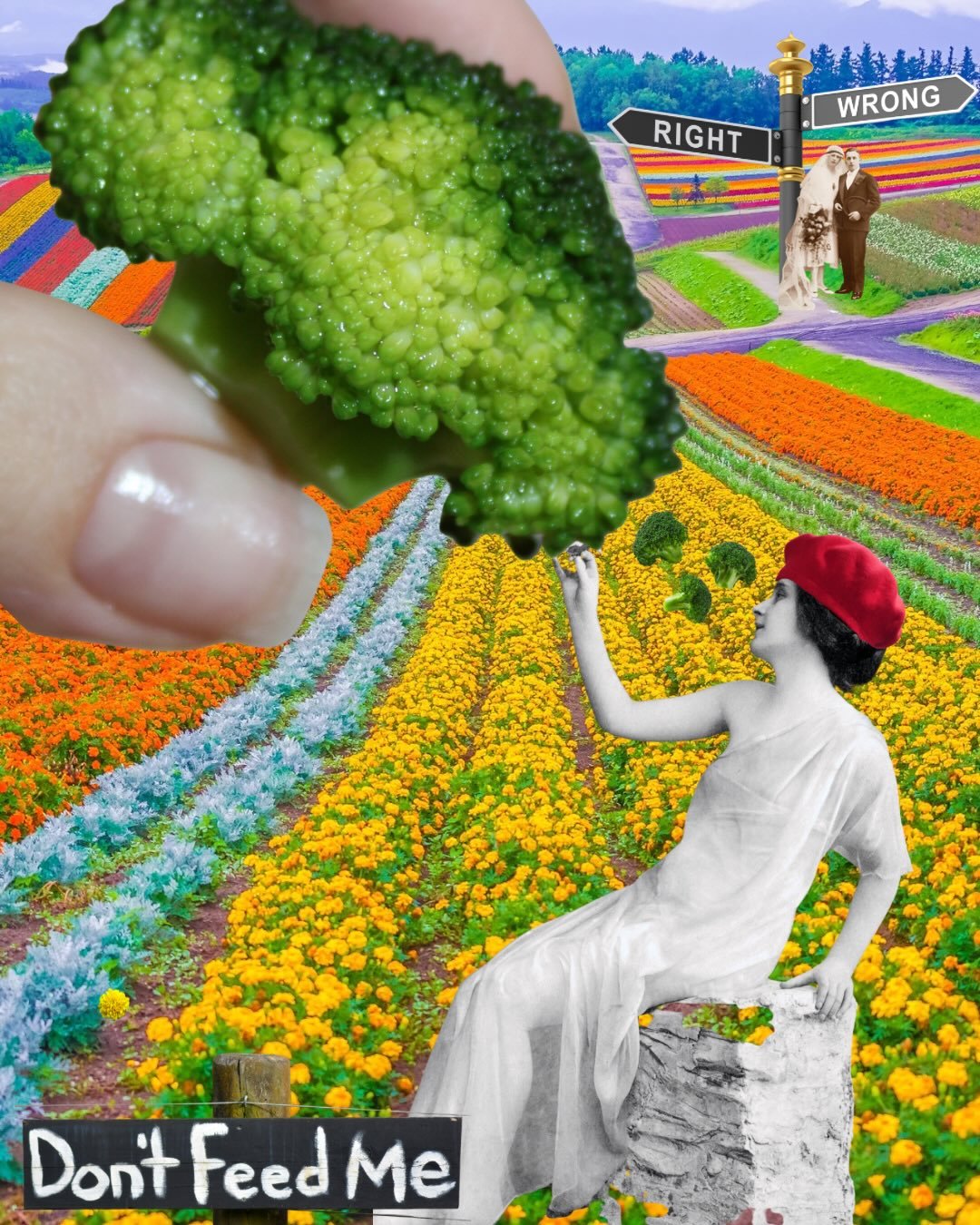 Instead of keeping these collages only in my Stories, I&rsquo;ll be sharing some of them here.

I almost didn&rsquo;t&mdash;because this is my professional space. Then I caught myself asking: whose rule is that?

We inherit so many rules we never agr