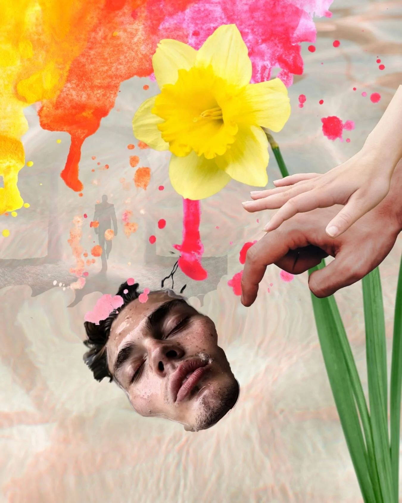 Daffodils are often the first flowers of spring. For many, they signal happiness, renewal, hope, and the promise of something beginning again.

But in Greek mythology, the daffodil or Narcissus is tied to vanity, unrequited love and the transition be