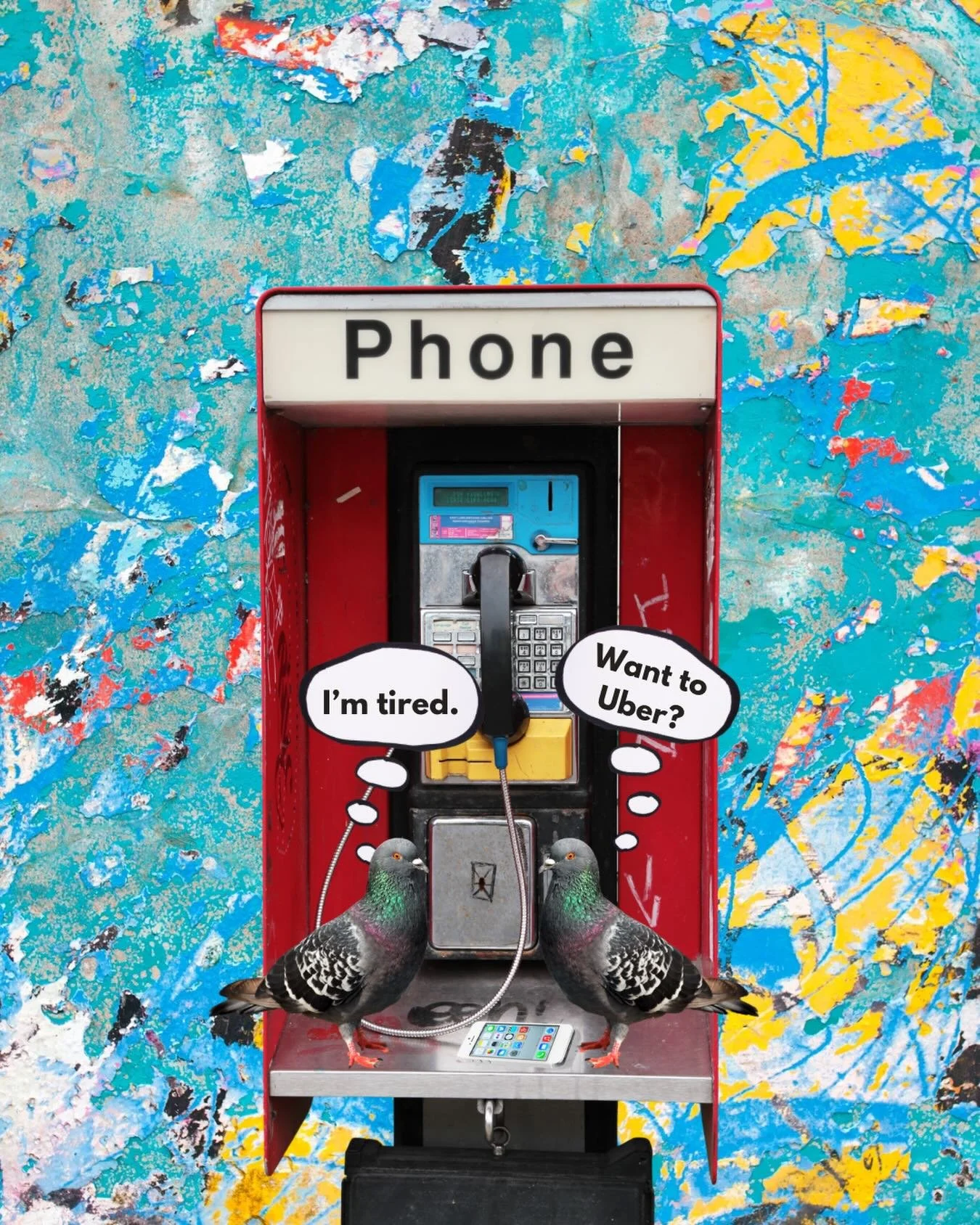 Pigeons are highly intelligent and excellent navigators. 

Across history they were used to send messages long distances, some of which were crucial in saving lives during WWI and WWII.

In a 2023 study conducted by the University of Iowa, researcher